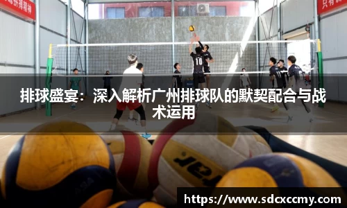 排球盛宴：深入解析广州排球队的默契配合与战术运用
