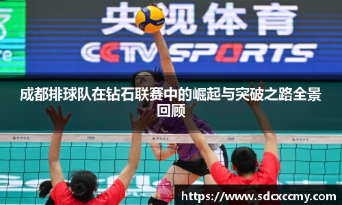 贝博BB官网