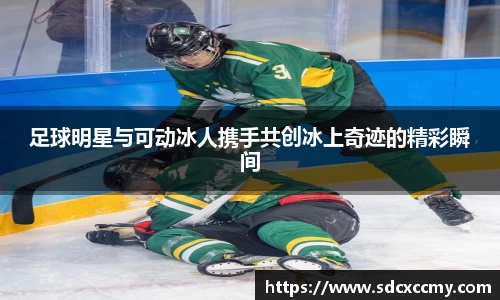 BB贝博官网
