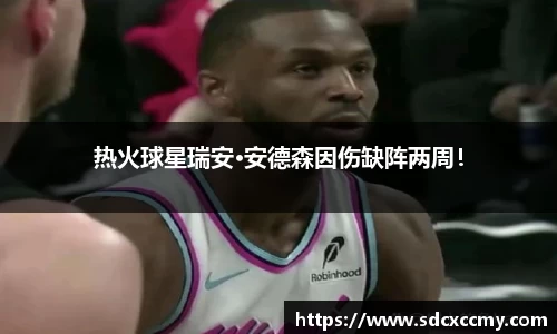 热火球星瑞安·安德森因伤缺阵两周！