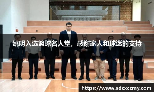 BB贝博官网
