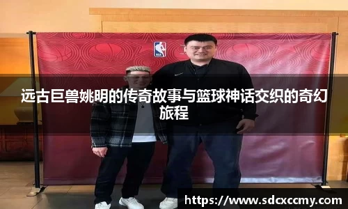 贝博BB官网