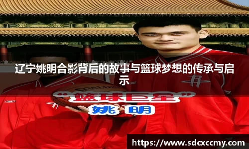 贝博BB官网