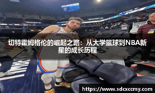 BB贝博官网