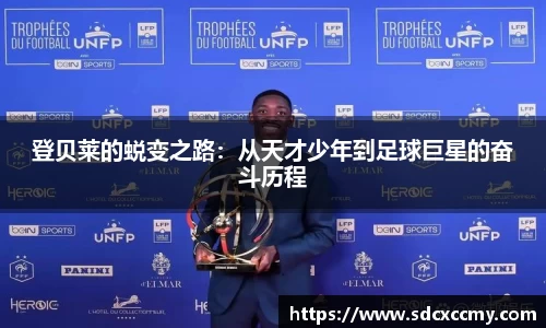 BB贝博官网